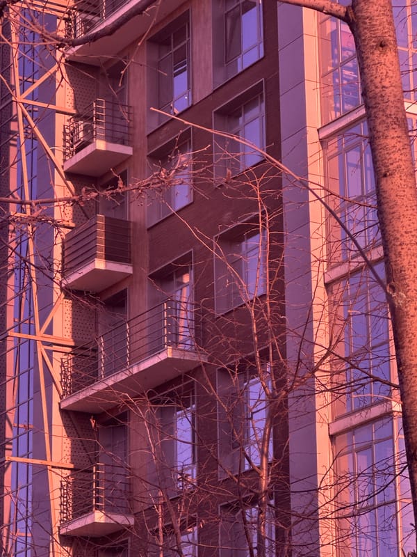 Building photographed from below through bare branches in Kazan