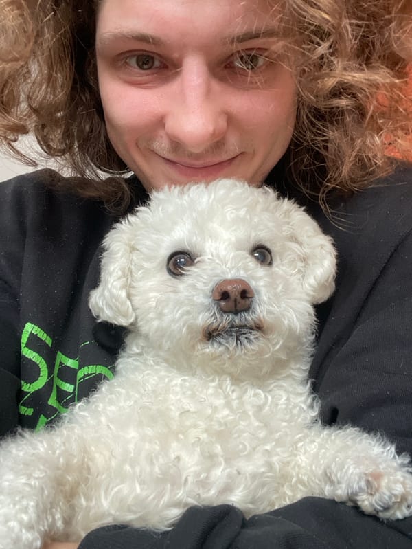 Man and dog moments captured amid Yekaterinburg snowfall