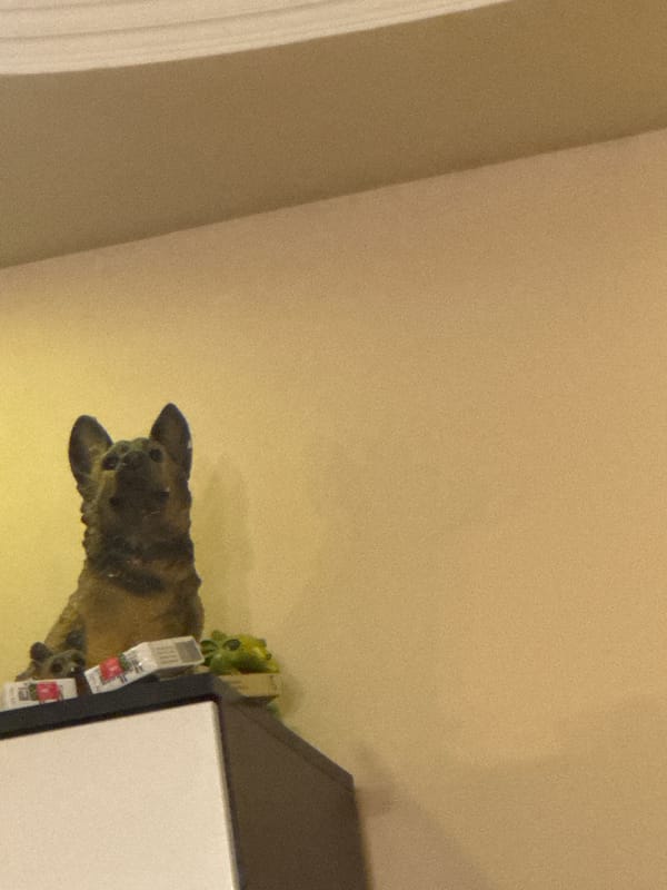 Domestic scenes documented in Yerevan home over evening hours