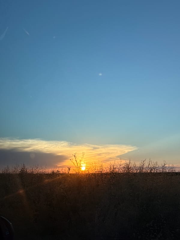Golden sunrise breaks over open fields in Pordim, Bulgaria