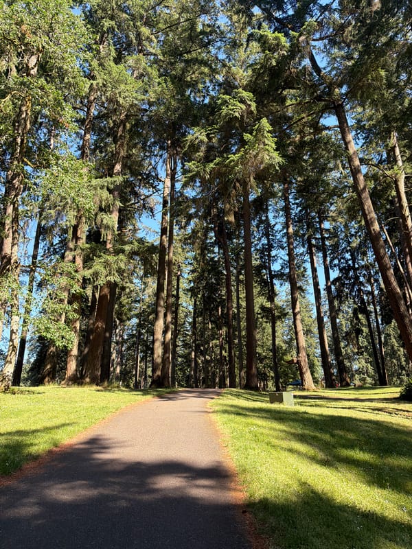 Painting session at a Spanaway park on a summer evening