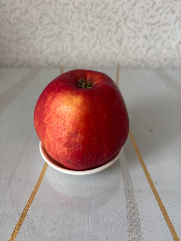 Grocery items documented on kitchen table in Chernogorsk