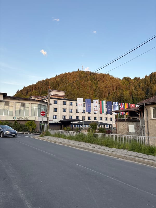 Afternoon stroll through Zlatograd, Bulgaria captures street scenes, grazing livestock