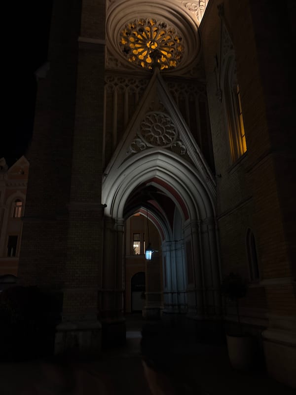 Evening documentation of Novi Sad's Liberty Square and cathedral