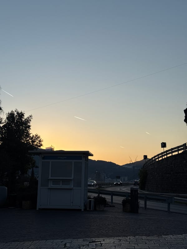 Twilight urban coastal scene with kiosk and palm trees observed