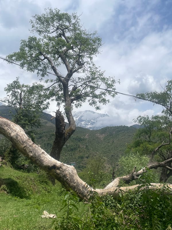 Morning scenes of everyday life documented in Dharamshala, India