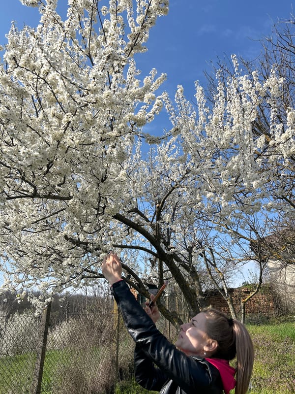 Spring morning scene captured in Senovo, Bulgaria garden area