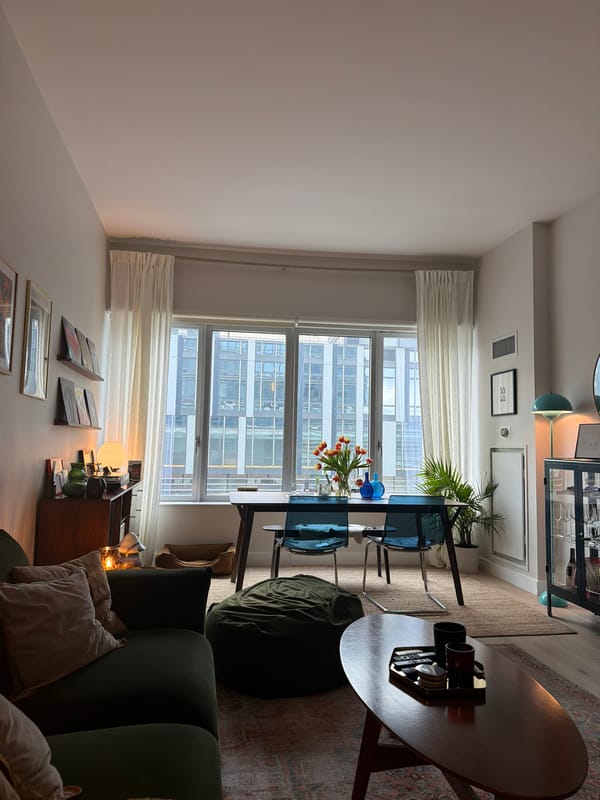 NYC apartment interior featuring resting Pit Bull documented