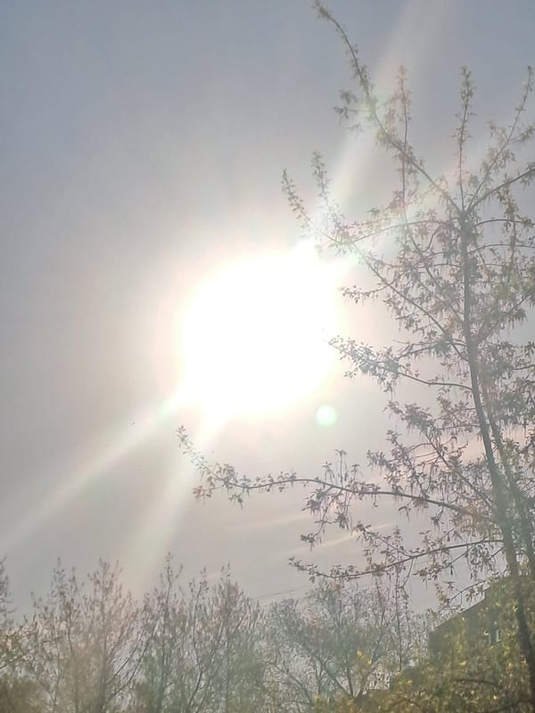 Early morning nature scenes documented in Elektrostal, Russia