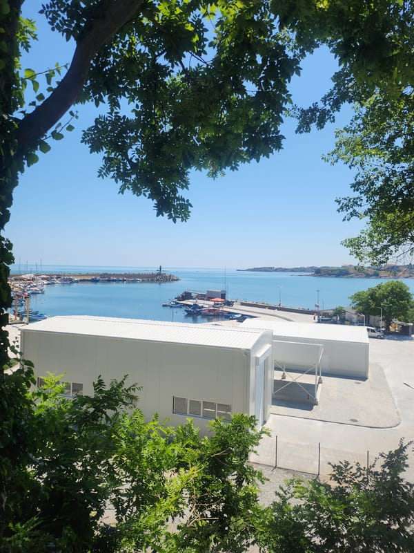 Tsarevo harbor viewed through summer foliage on a clear morning