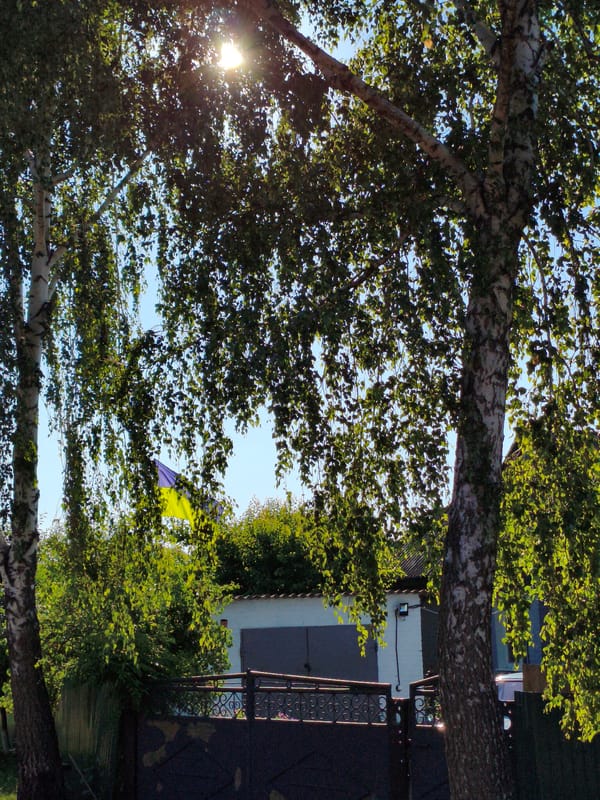 Rural Ustyvytsia: harvest season, stork nests, and village life