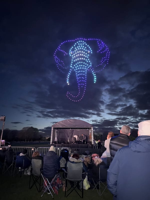 Drone light show displays animal formations over South Norfolk