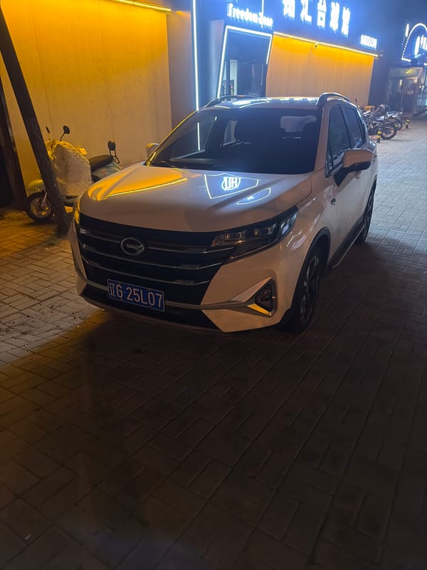 White car parked near Freedom Bar, sheep signage in Zhongtun