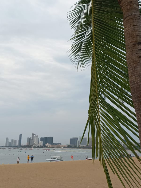 Sunset beach scenes captured through palm trees in Pattaya
