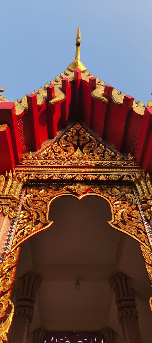 Cats rest peacefully near ornate Thai temple in Bangkok