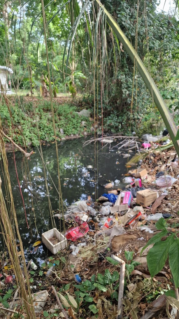 Contrasting water pollution levels documented in Choeng Mon Thailand