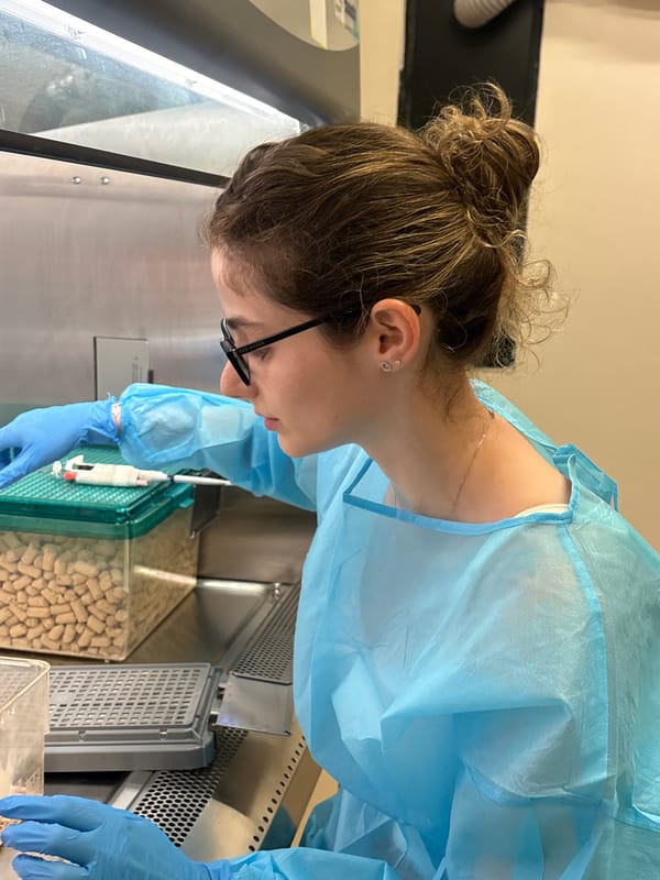 Lab work in Tel Aviv with pellets and protective gear