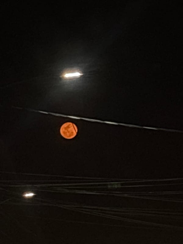 Orange full moon observed through power lines in Cuernavaca