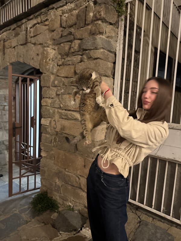 Evening stroll and cat encounter in Plovdiv old town