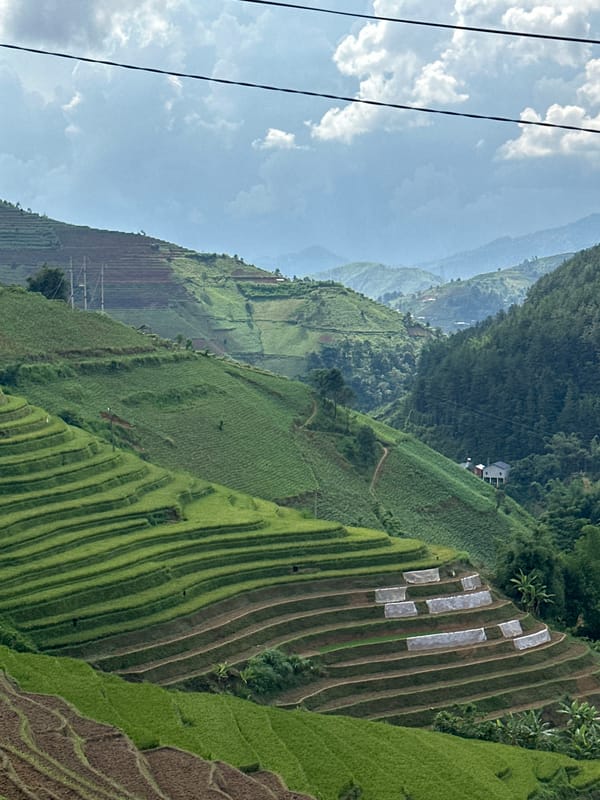 Morning scenes captured at Lao Chai Vietnam terraced rice fields