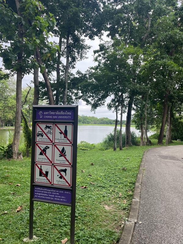 Quiet morning around Chiang Mai's lakeside parks and cafes