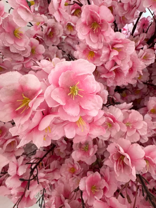 Pink artificial flowers and street building photographed early morning