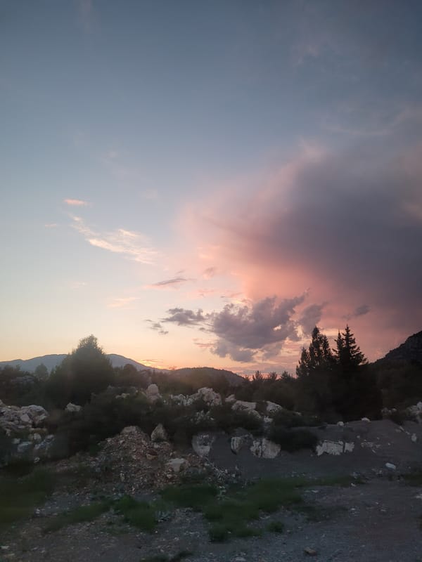 Undescribed media captured in Akseki, Turkey