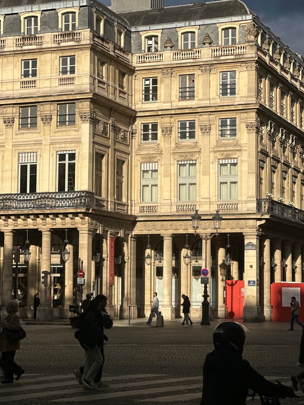 Pigeons forage on cobblestones near ornate Parisian building