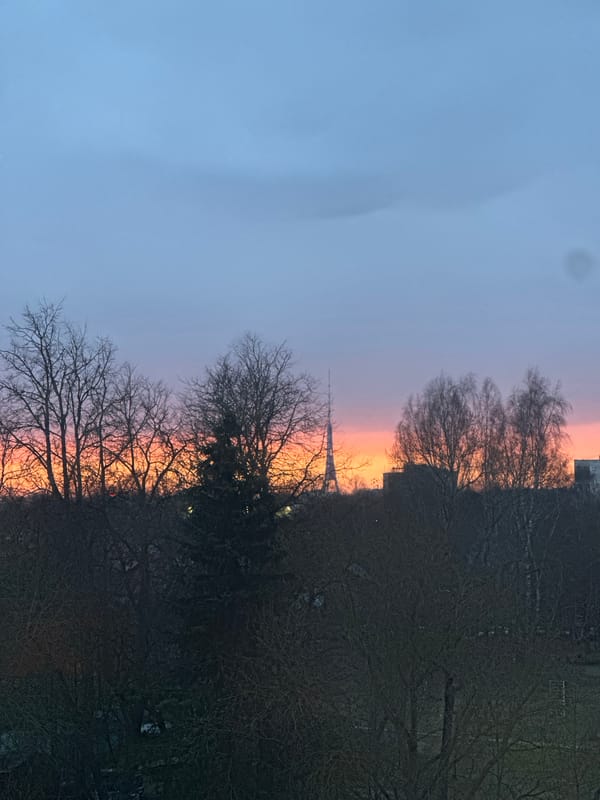 Spring buds emerge amid Riga sunset as winter transitions