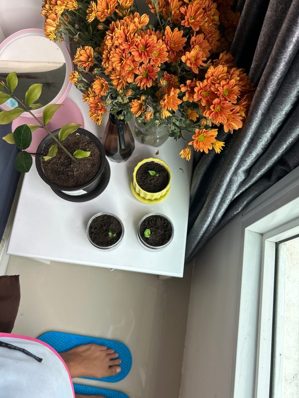 Acupressure mats, chrysanthemums, and a crane in Kathu