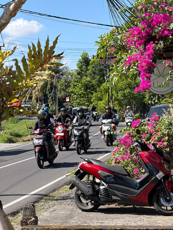 Everyday life in Mengwi: streets, geese, and roses