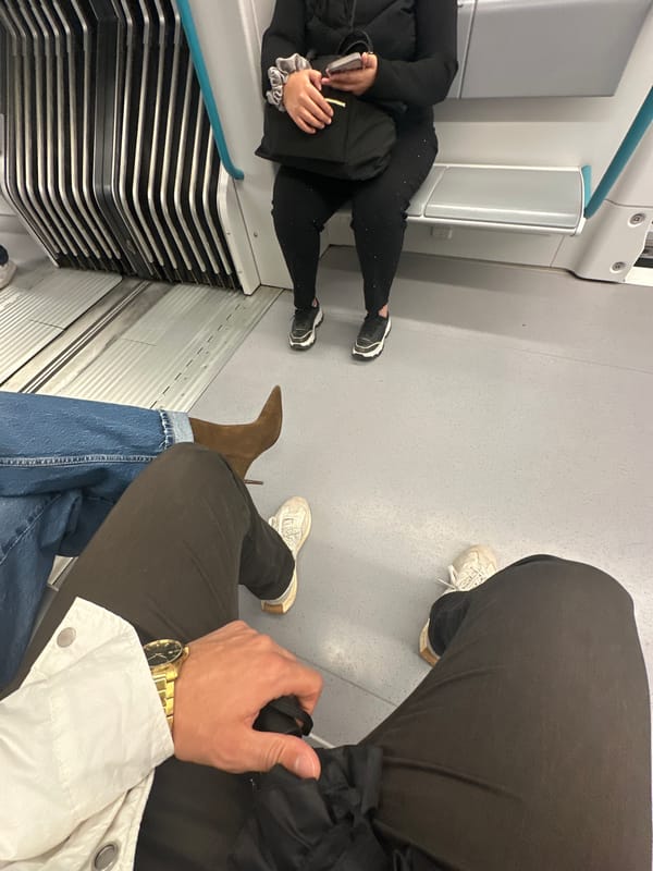 Passenger observed with Coach bag on Sofia public transport