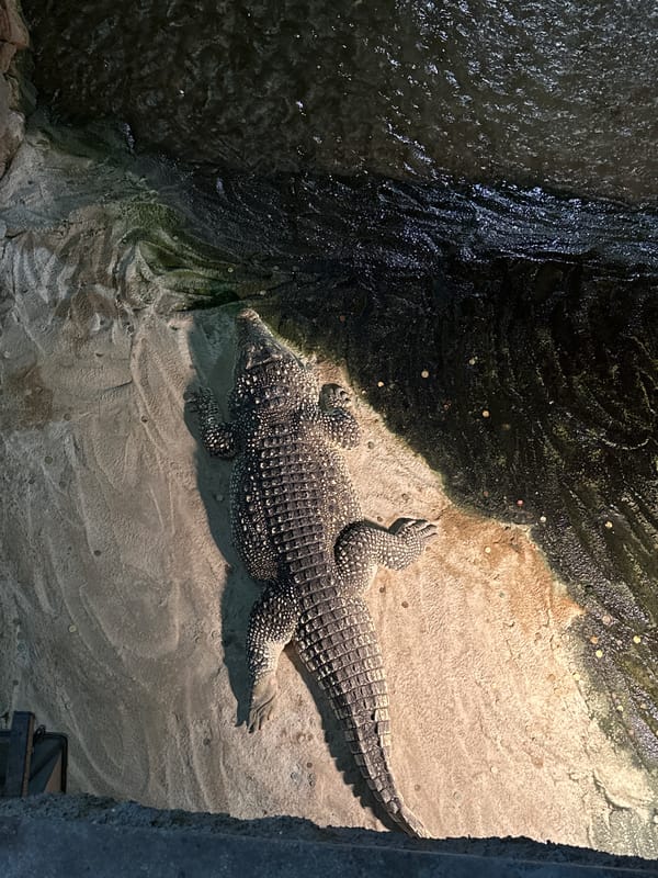 Afternoon walkthrough of Zagreb Zoo's reptile and wildlife exhibits