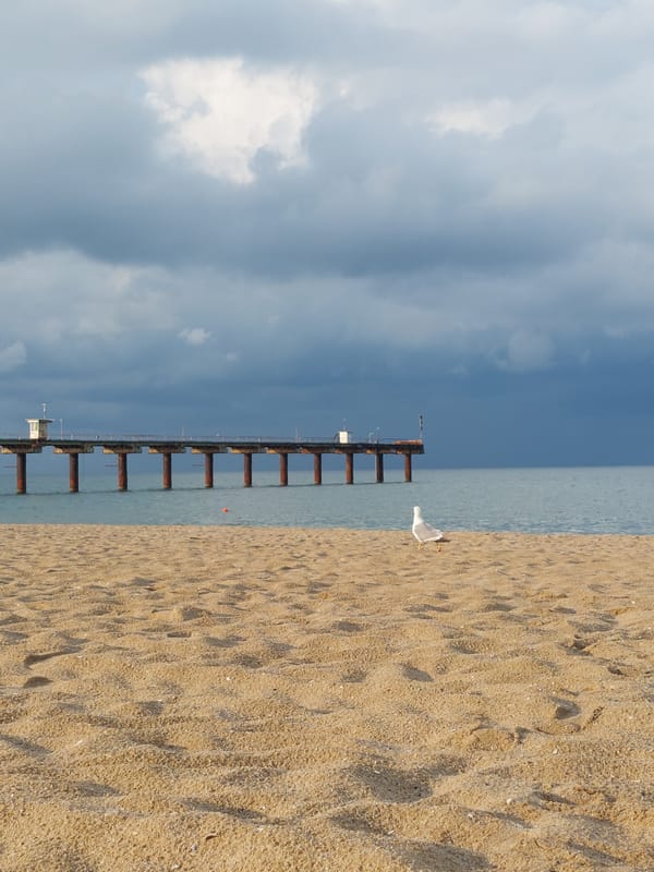 Shkorpilovtsi beach and pier on a cloudy Black Sea afternoon