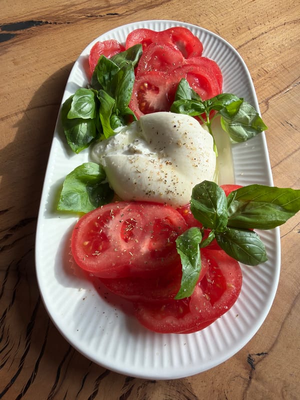 Caprese salad photographed in Mars, Russia