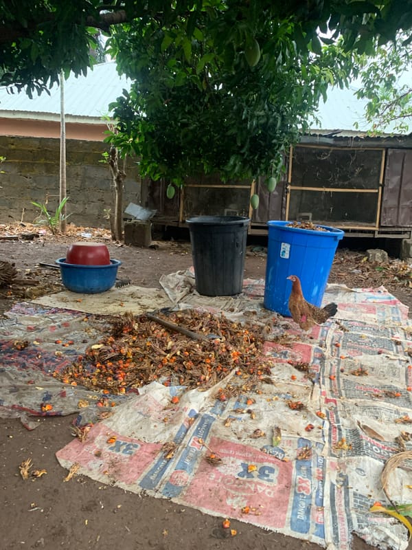 Daily life and marching band parade documented in Akwanga