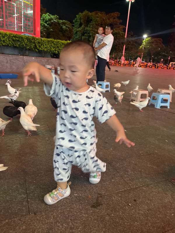 Feeding pigeons in a Chancheng District plaza