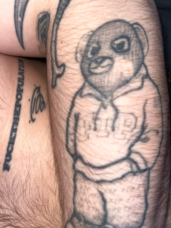 Lazy afternoon with tabby cat, tattoos, and personal collectibles