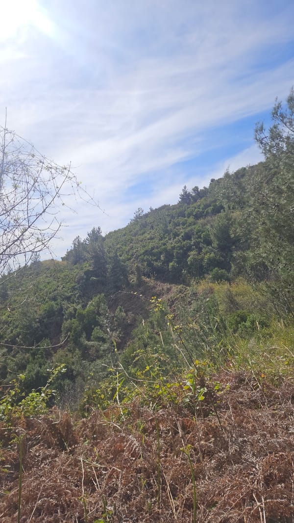 Hikers explore overgrown coastal trails near Budva Montenegro