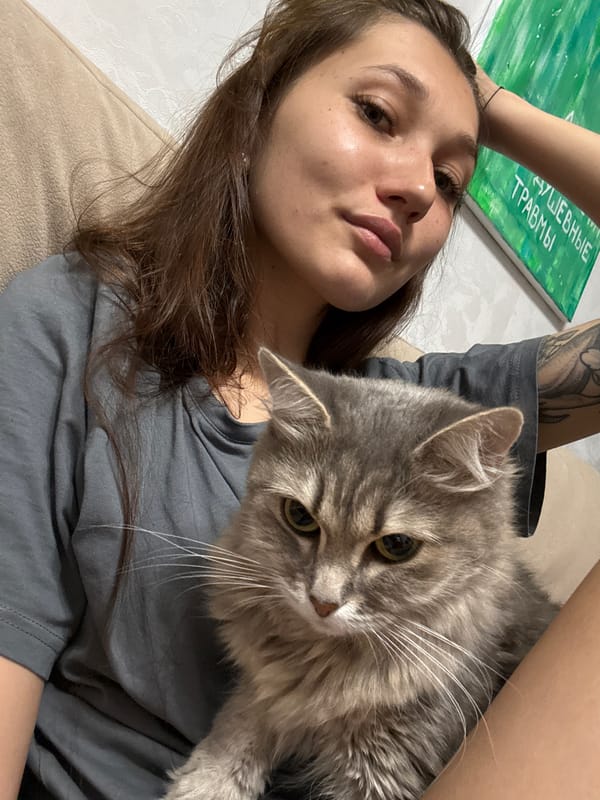 Lazy evening on the couch with a grey cat in Novokuznetsk