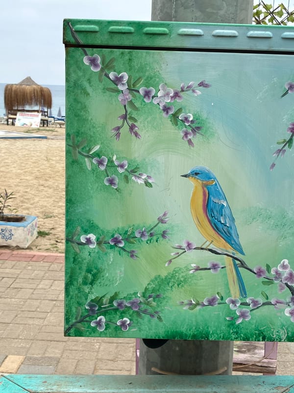 Morning street life documented in Turkish coastal resort town
