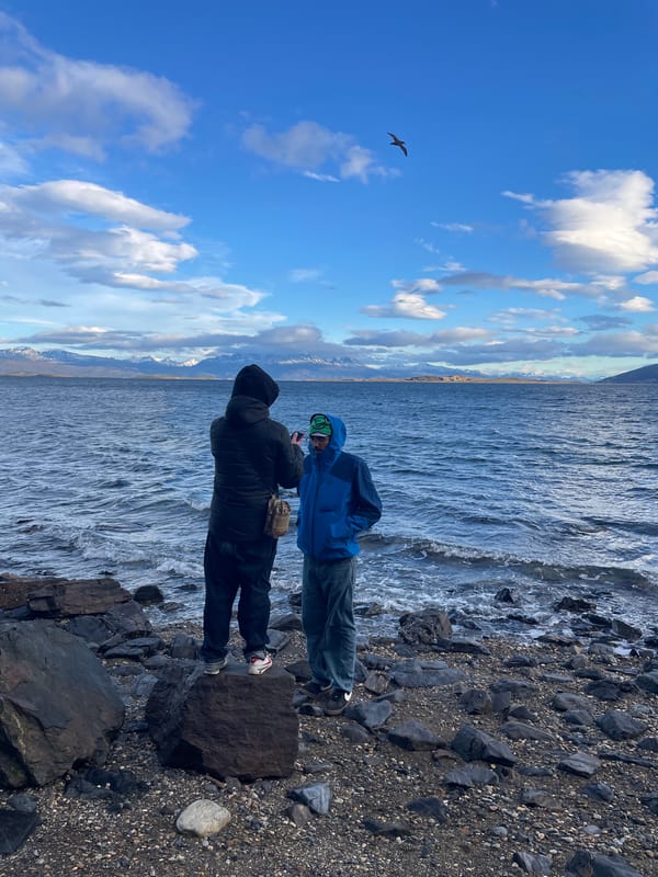 Tourist documents wildlife, coastal scenes in Ushuaia Argentina