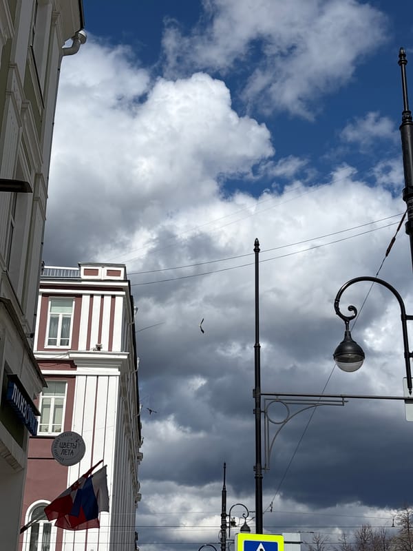 Morning life captured in Perm: skies, portraits, pigeons