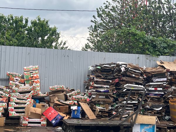 Rainy morning commercial activity at Krasnodar fruit market documented