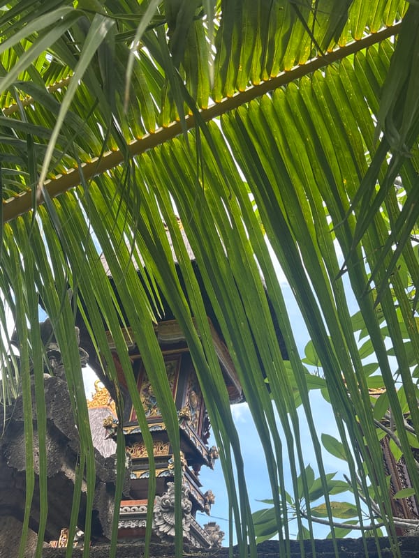 Tourist captures casual walking tour through North Kuta, Bali