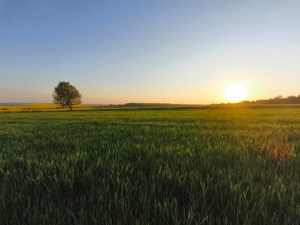 Sunset documented over rural fields near Kopychyntsi, Ukraine