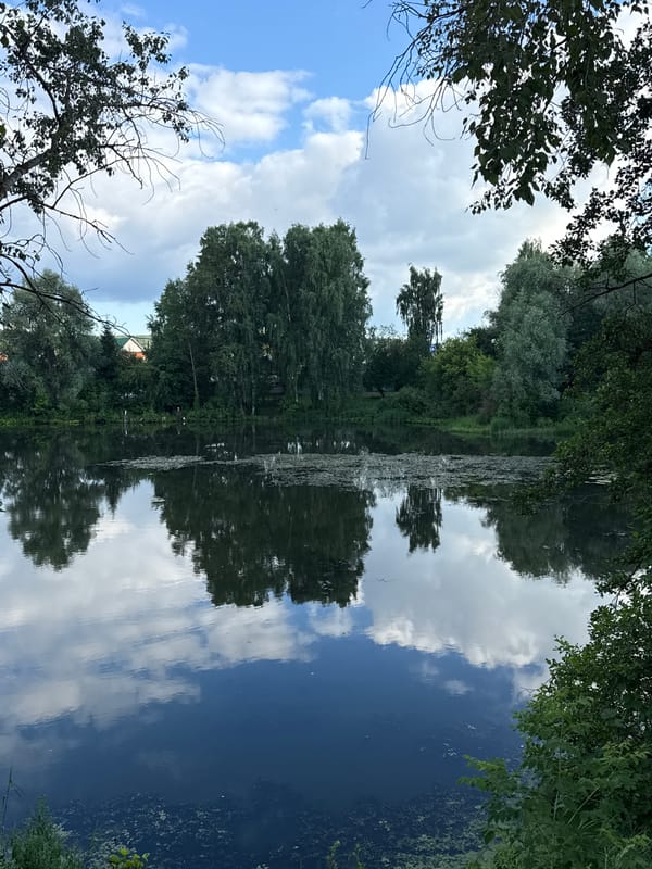 Lakeside afternoon in Chaikovsky with a photogenic grey dog