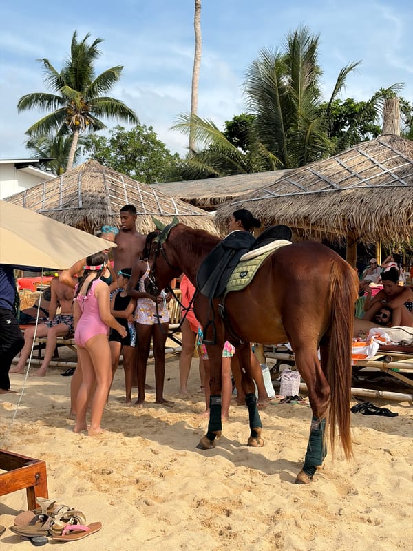 Saddled horse and beach vibes on a Ko Samui morning