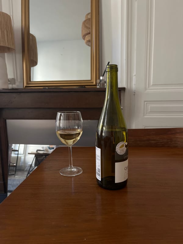 Home dinner party with carbonara and wine in Lyon
