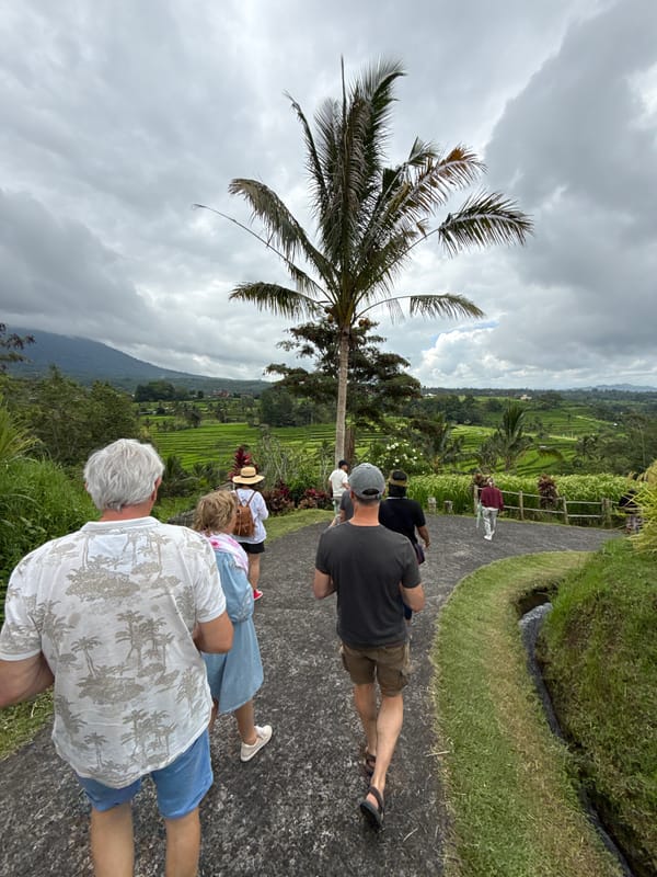 Tourists view terraced rice fields in Penebel, Indonesia
